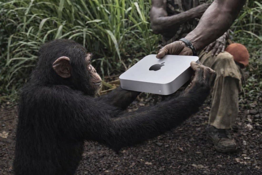 Crypto meme on Memtherscan