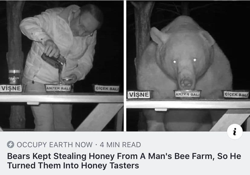 Crypto meme on Memtherscan