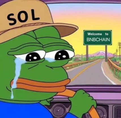 Crypto meme tagged pepe, solana, bnb chain, crypto