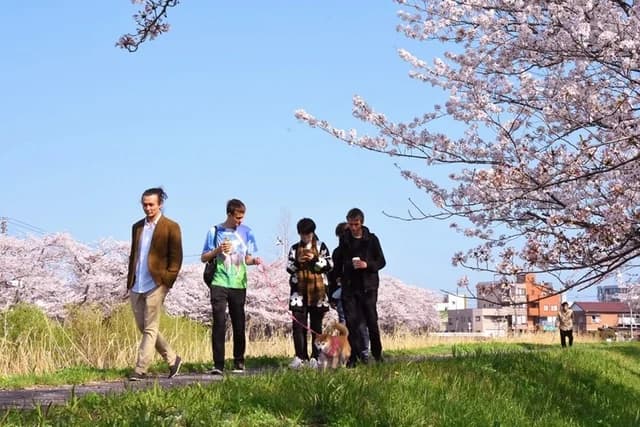 Crypto meme on Memtherscan